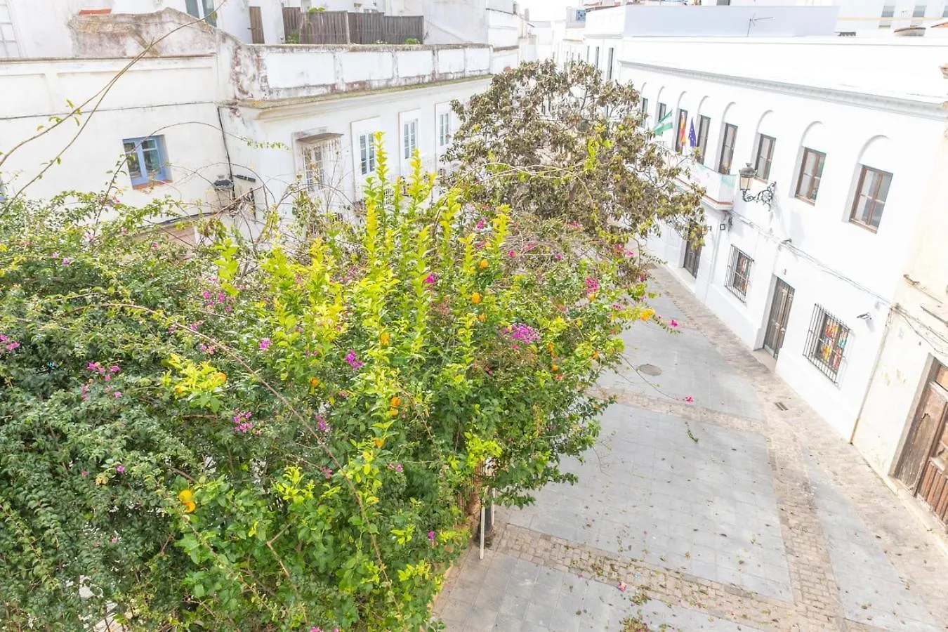 Apartment Ferienwohnung Casa Acua De Aljaranda | De Diseno, Casco Hist. Tarifa